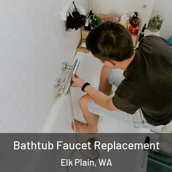  Bathtub Faucet Replacement Elk Plain, WA