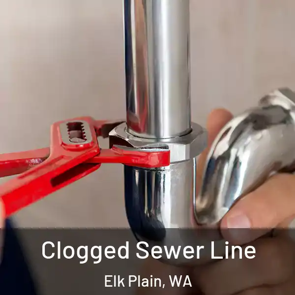  Clogged Sewer Line Elk Plain, WA