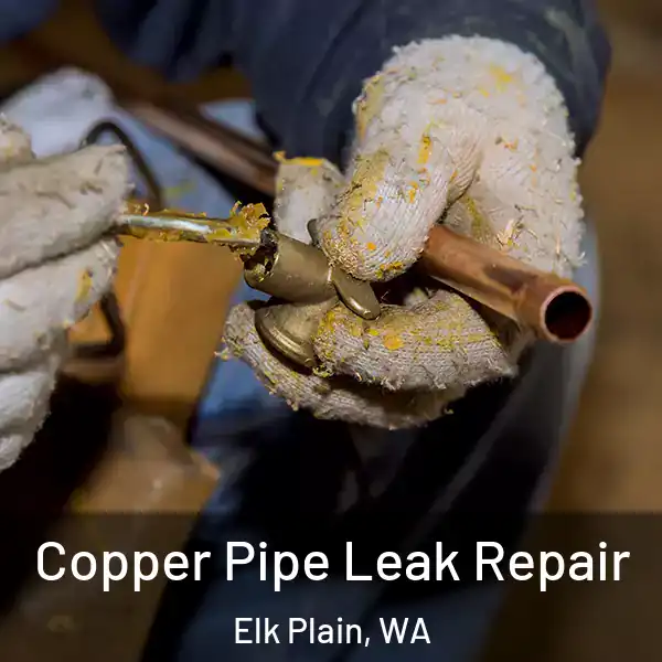  Copper Pipe Leak Repair Elk Plain, WA