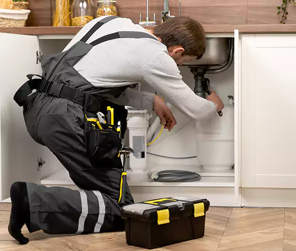 Certified Plumbers for Insinkerator Installation in Elk Plain