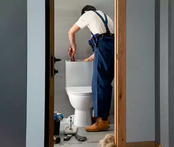 Professional Plumbers for Toilet Bowl Replacement in Elk Plain, WA: Schedule Affordable Toilet Replacement Services With Us