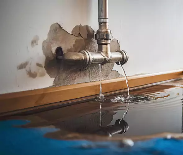 Professional Water Damage Restoration Experts in Elk Plain, WA — Fast, Reliable & Certified