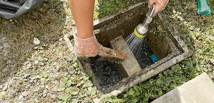 Professional Grease Trap Cleaning Services in Elk Plain, WA