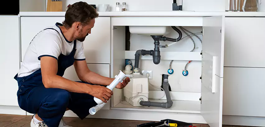 Plumbers for Frozen Pipes in Elk Plain