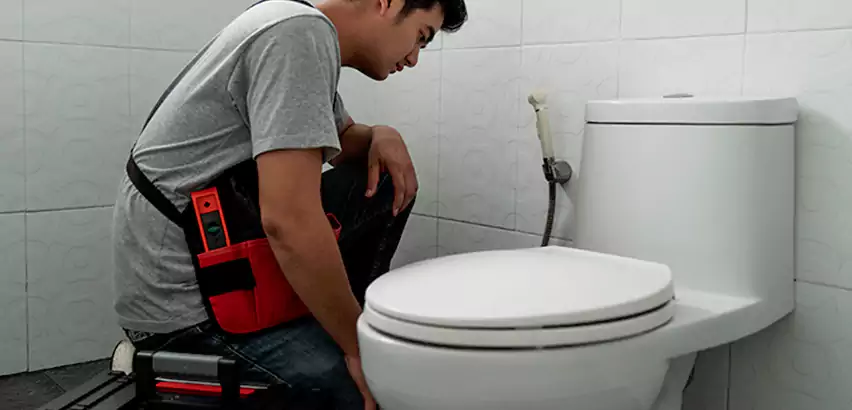 Toilet Repair in Elk Plain