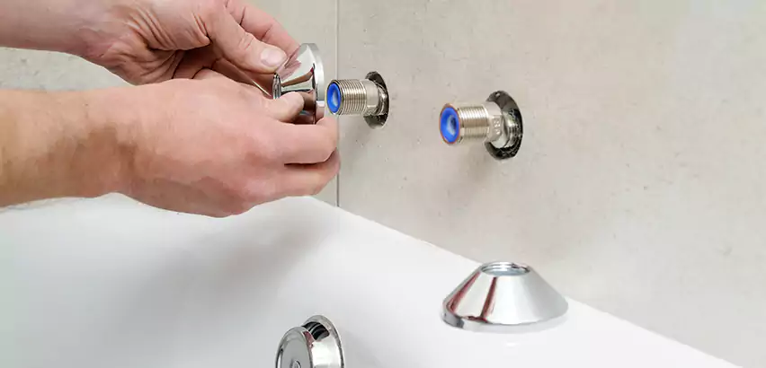 Bathtub Faucet Diverter Replacement in Elk Plain