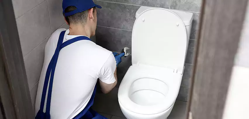 Toilet Lid Replacement in Elk Plain