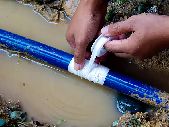  Why Choose Elk Plain Plumbing for Water Line Repair in Elk Plain, WA?]