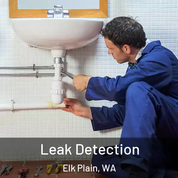  Leak Detection Elk Plain, WA