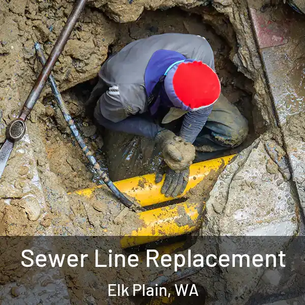  Sewer Line Replacement Elk Plain, WA