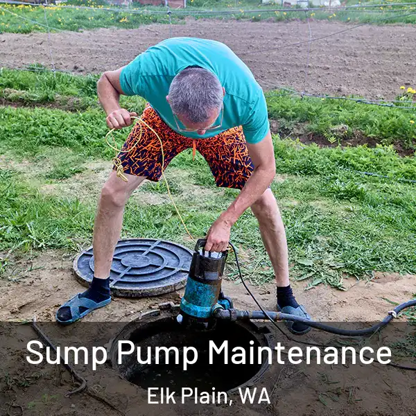  Sump Pump Maintenance Elk Plain, WA