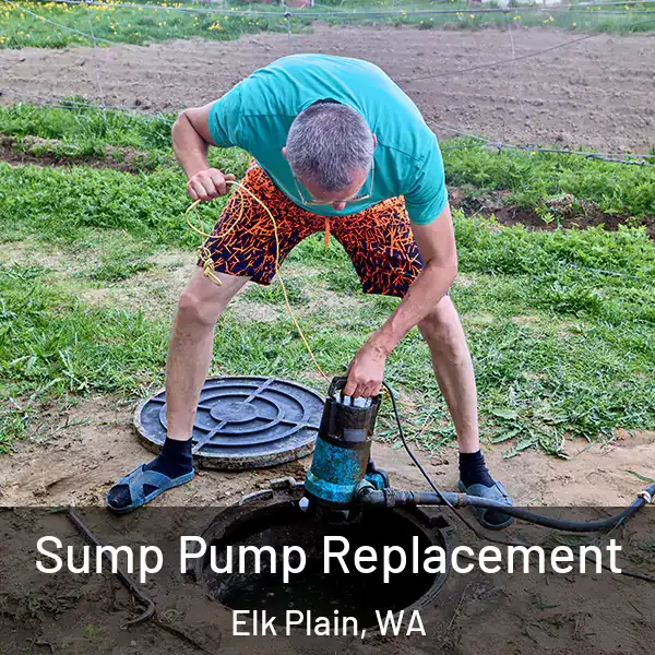  Sump Pump Replacement Elk Plain, WA