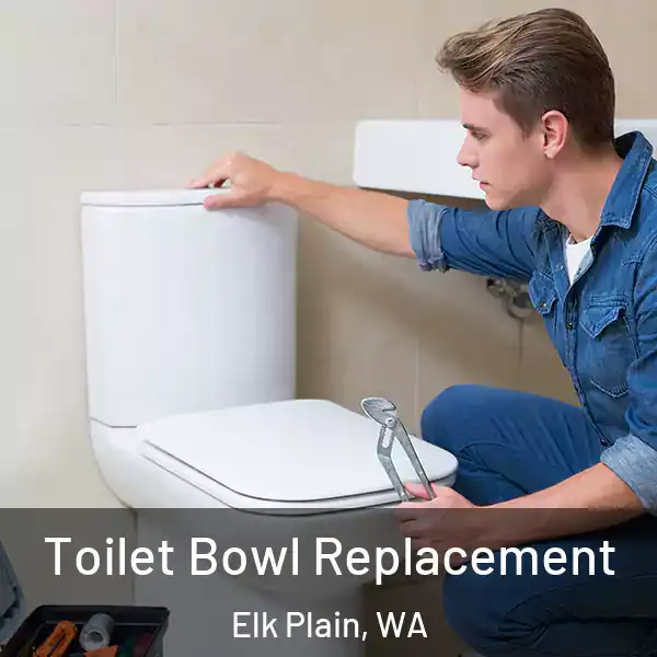  Toilet Bowl Replacement Elk Plain, WA