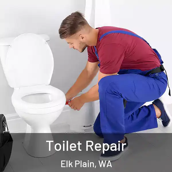  Toilet Repair Elk Plain, WA