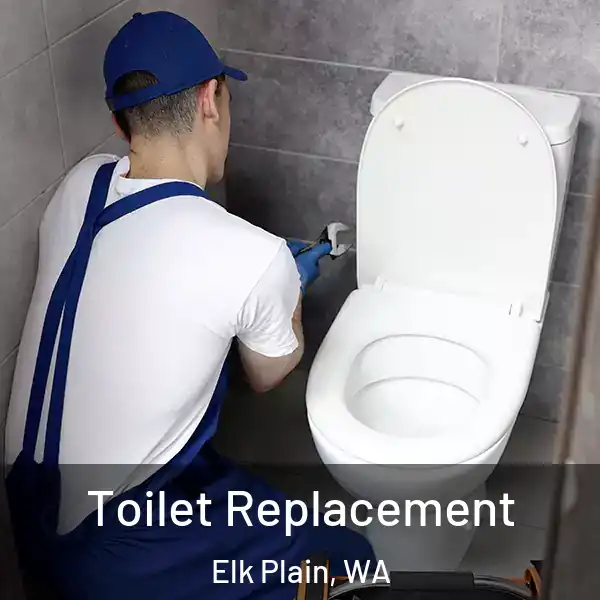  Toilet Replacement Elk Plain, WA
