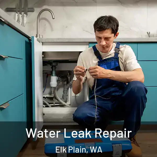  Water Leak Repair Elk Plain, WA